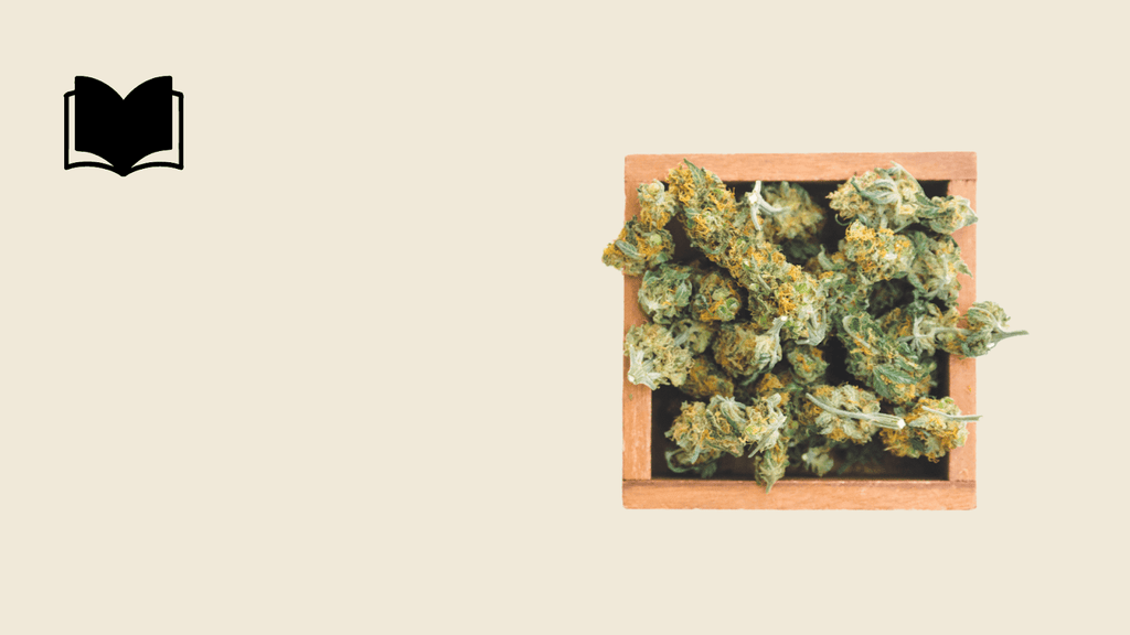 The Top Cannabis Strains To Replace Adderall: A Natural Approach To ADHD