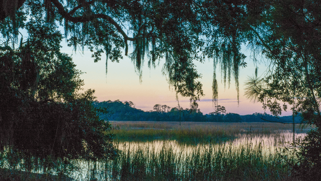 Is THC Legal In South Carolina?