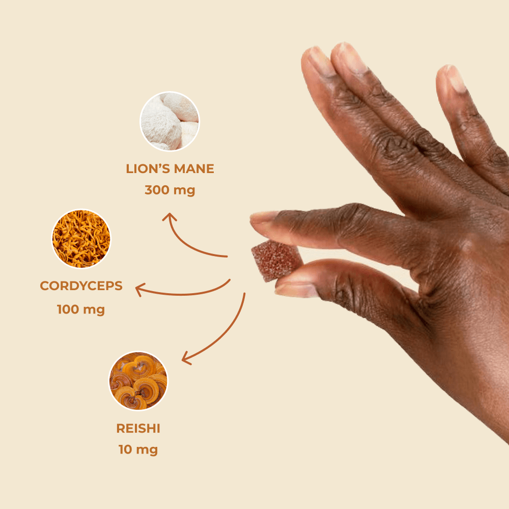 hand holding brain boost gummy. Highlighting different mushrooms (lion's mane, cordyceps, reishi). 